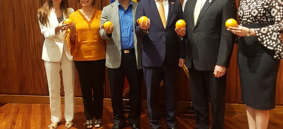 En Honduras el Consejero Presidencial para Asuntos Económicos y Estratégicos de Colombia,  Felipe Buitrago, presentó la conferencia “Exprimiendo la Economía Naranja” 