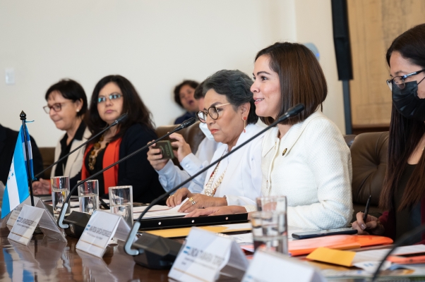 Colombia y Honduras celebran su IX Reunión de la Comisión Mixta de Cooperación Técnica, Científica, Cultural y Educativa. Foto: Efraín Herrera / Cancillería.